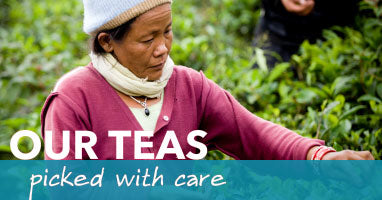 https://www.nepaliteatraders.com/cdn/shop/files/Our_Teas_1600x.jpg?v=1614289398